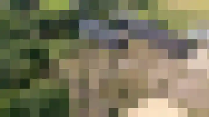 Huurninkallee 1 Beltrum thumbnail 38