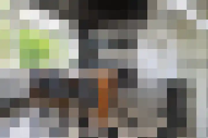 Huurninkallee 1 Beltrum thumbnail 4