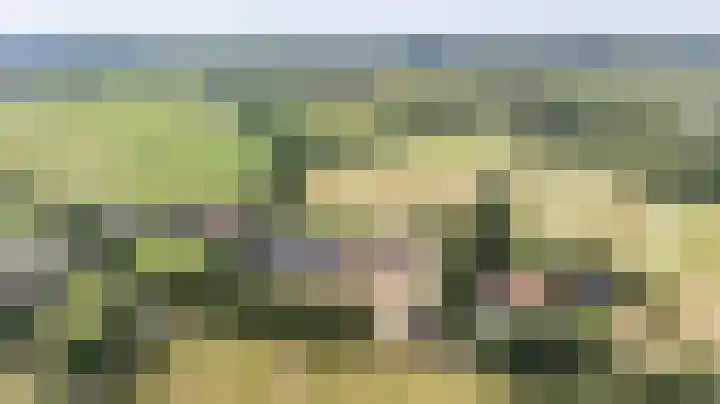 Huurninkallee 1 Beltrum thumbnail 41