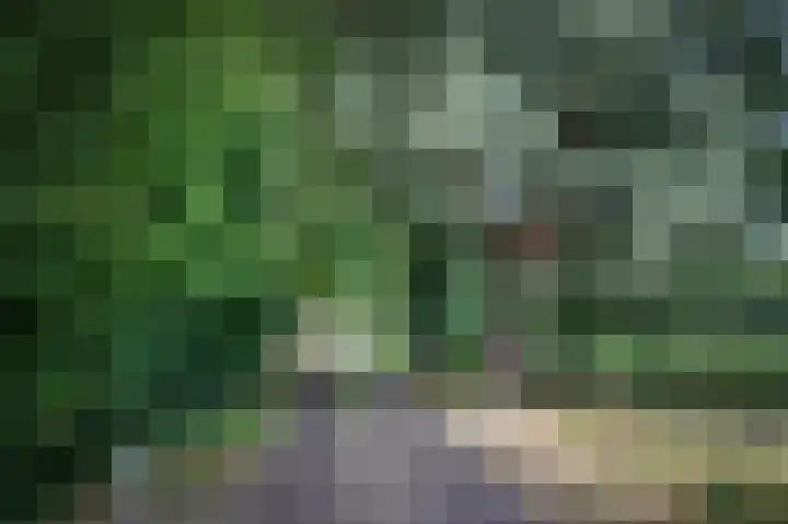 Huurninkallee 1 Beltrum thumbnail 44