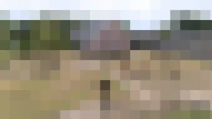 Huurninkallee 1 Beltrum thumbnail 56