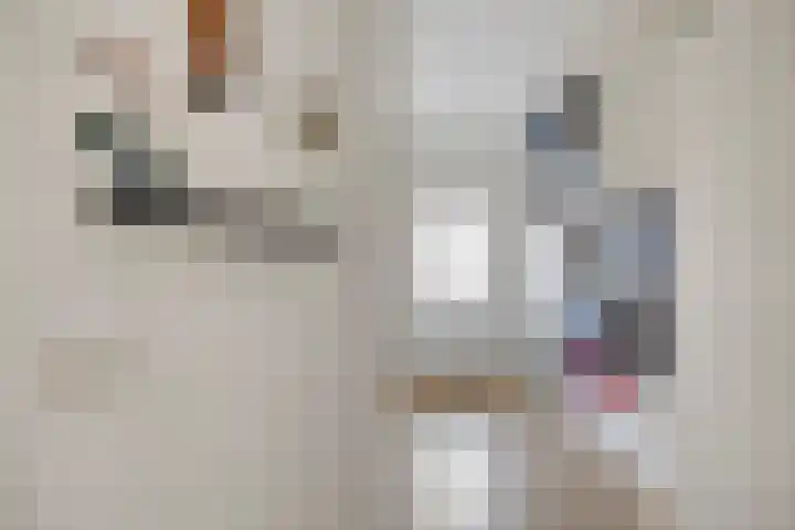 Huurvaarderstraat 124 Roermond thumbnail 4