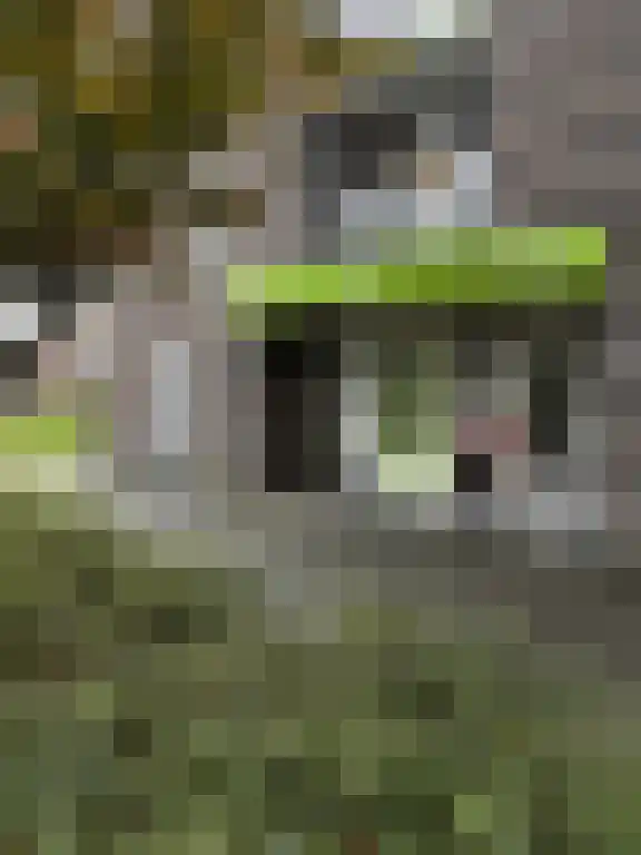 Huurwoningen Almere 136 Almere thumbnail 5