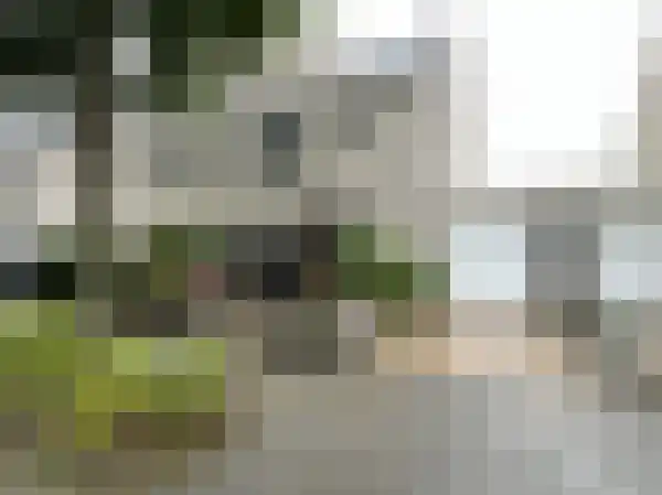 Huurwoningen Almere 65 Uden thumbnail 48