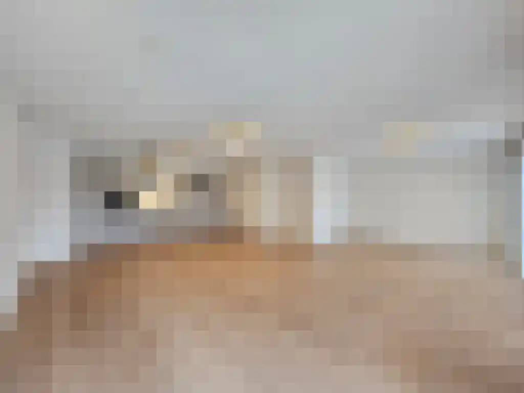 Huurwoningen Amstelveen 106 HS Uden thumbnail 24