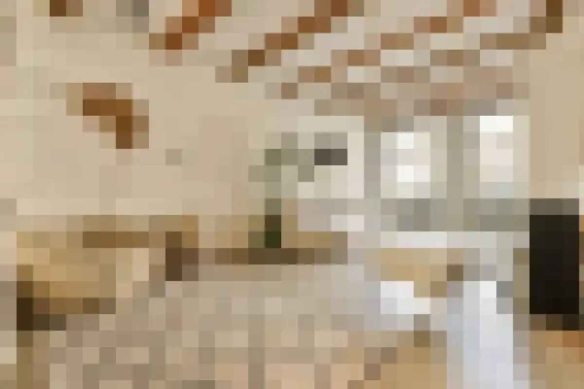 Huurwoningen Amsterdam 10 Uden thumbnail 10