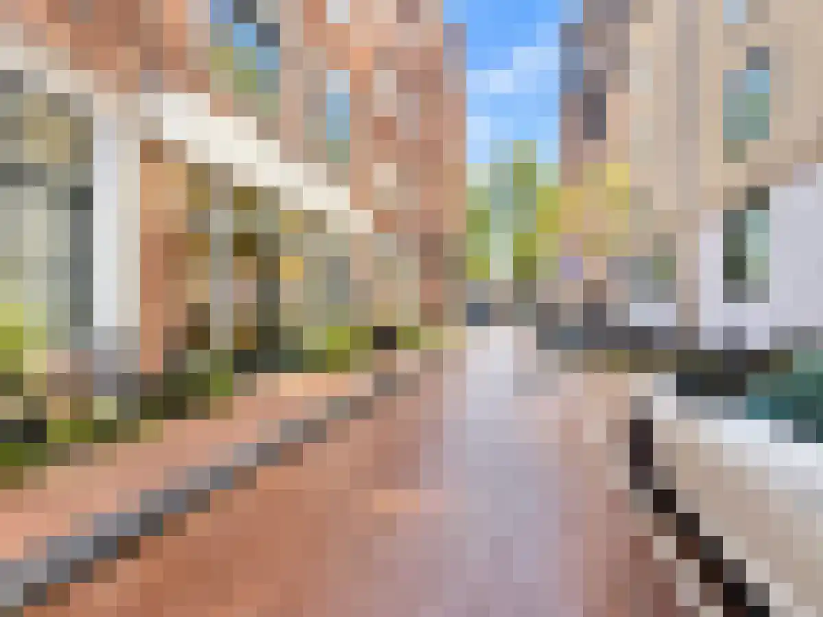 Huurwoningen Amsterdam 1029 Amsterdam thumbnail 4
