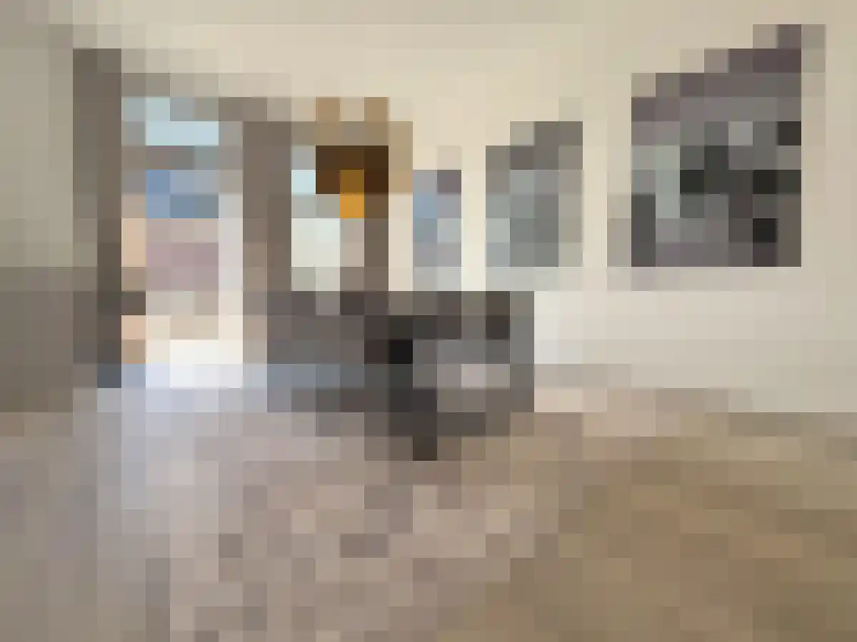 Huurwoningen Amsterdam 13 Amsterdam thumbnail 25