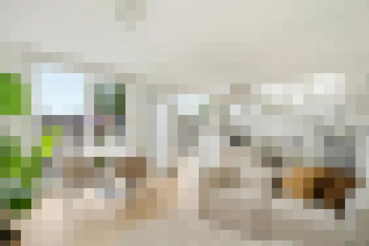 Huurwoningen Amsterdam 21 3 Uden thumbnail 14