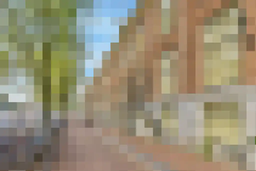 Huurwoningen Amsterdam 245 C Amsterdam thumbnail 30