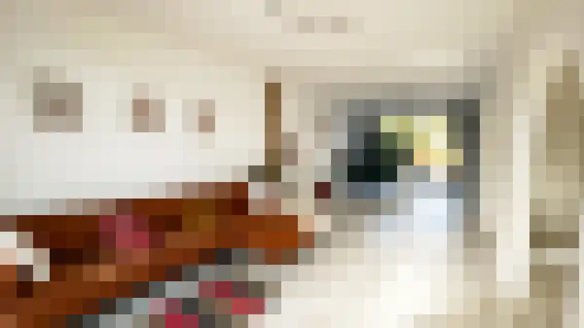 Huurwoningen Amsterdam 3 Amsterdam thumbnail 30