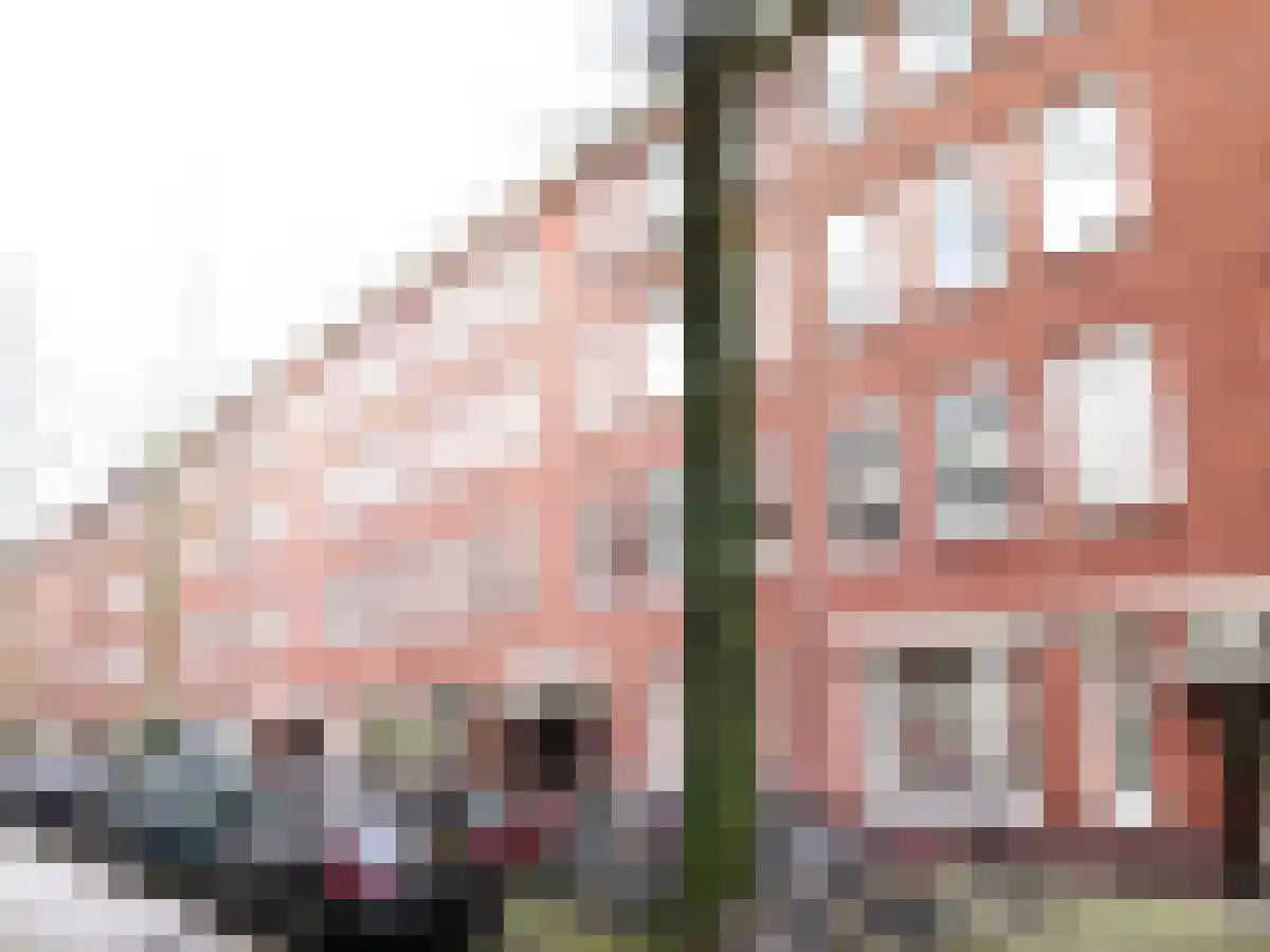 Huurwoningen Amsterdam 34 3 Amsterdam thumbnail 20
