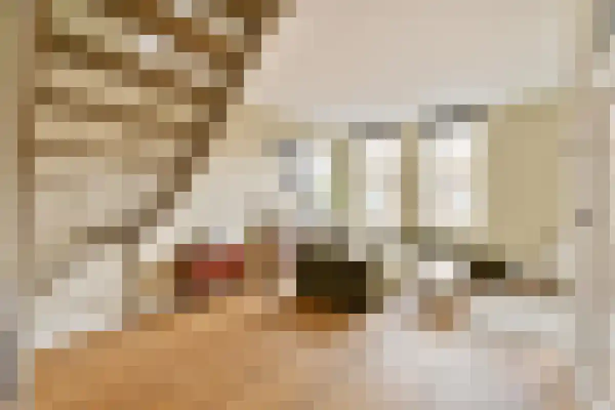 Huurwoningen Amsterdam 34 Amsterdam thumbnail 13