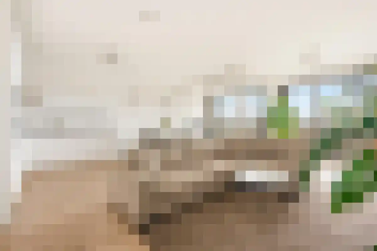 Huurwoningen Amsterdam 44 Uden thumbnail 27