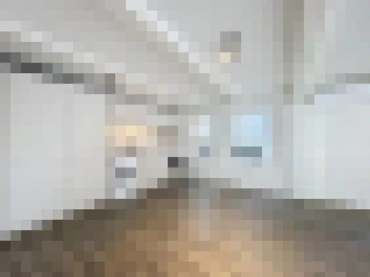 Huurwoningen Amsterdam 47 2 Uden thumbnail 12