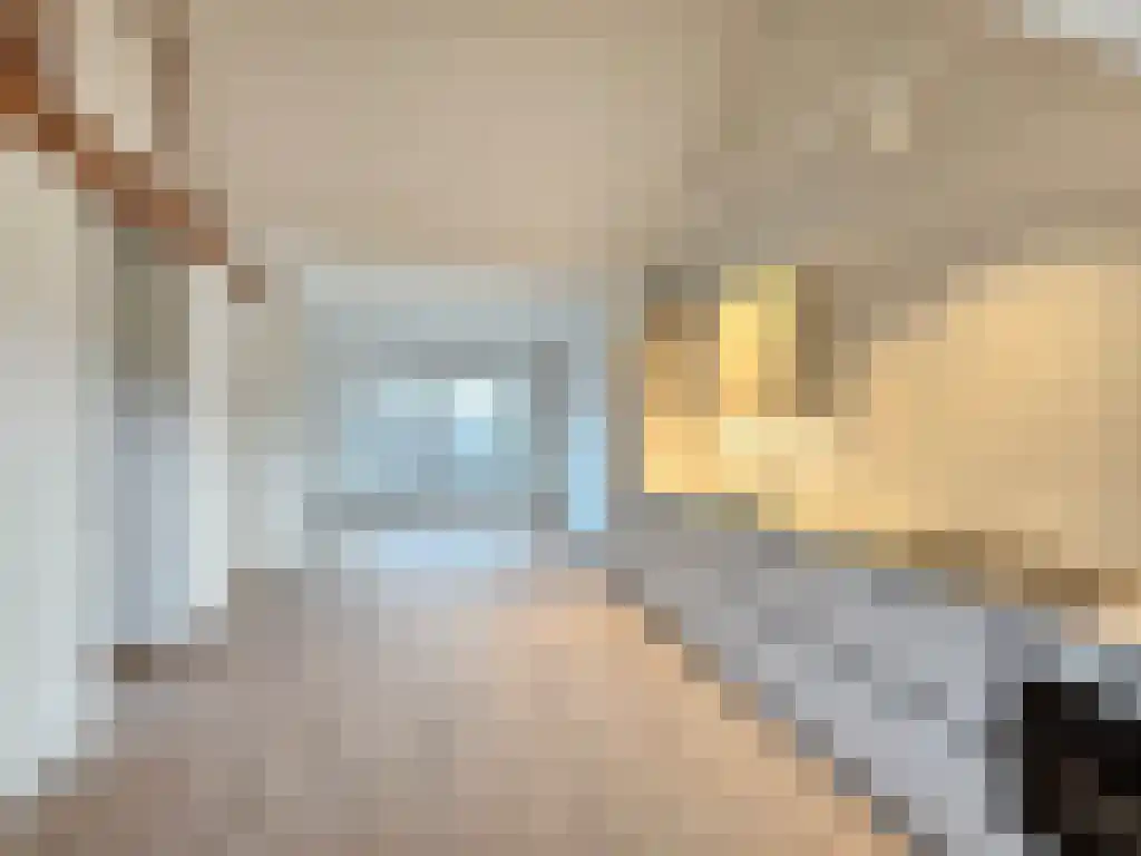 Huurwoningen Amsterdam 47 2 Uden thumbnail 8