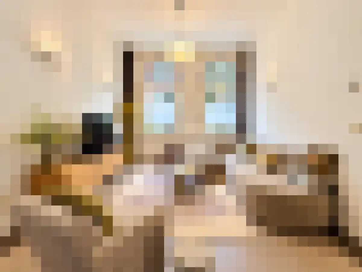 Huurwoningen Amsterdam 528 Amsterdam thumbnail 18