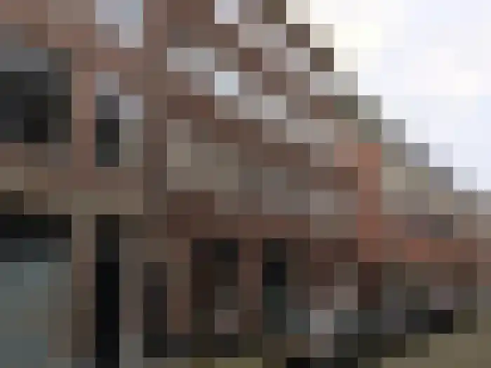 Huurwoningen Amsterdam 829 Uden thumbnail 60