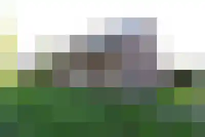 Huurwoningen Best 16 Uden thumbnail 8