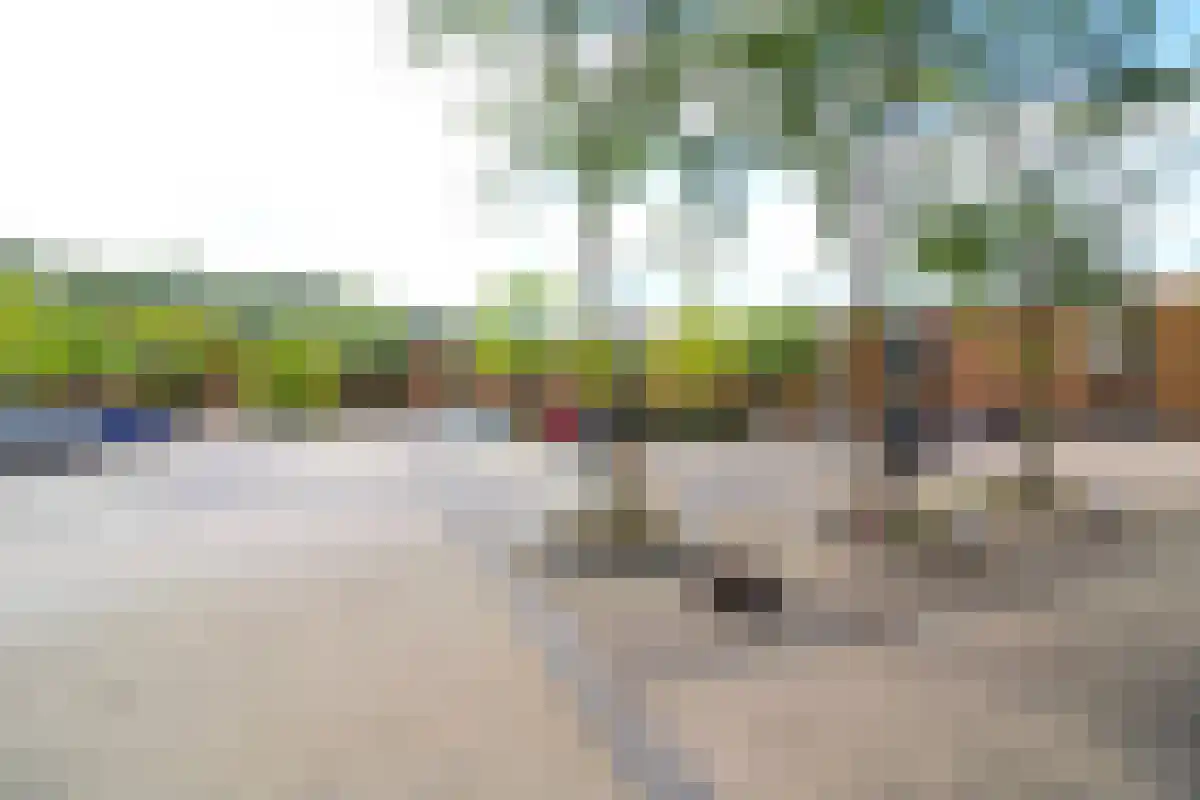 Huurwoningen Budel 42 Budel thumbnail 21