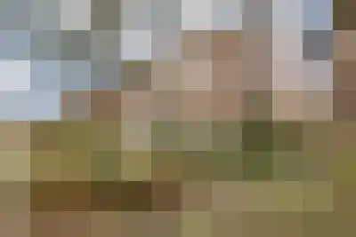 Huurwoningen Budel 42 Budel thumbnail 42