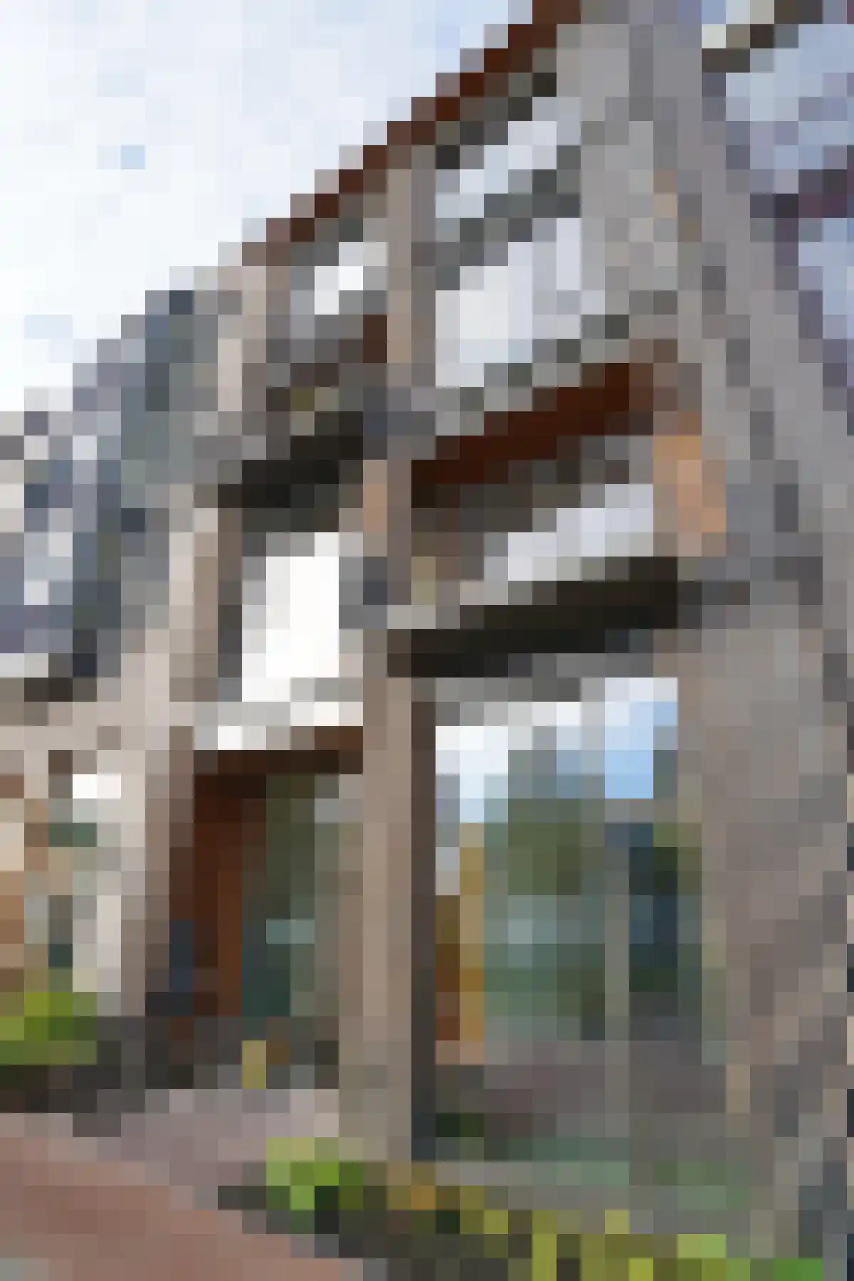 Huurwoningen Delft 33 Uden thumbnail 5