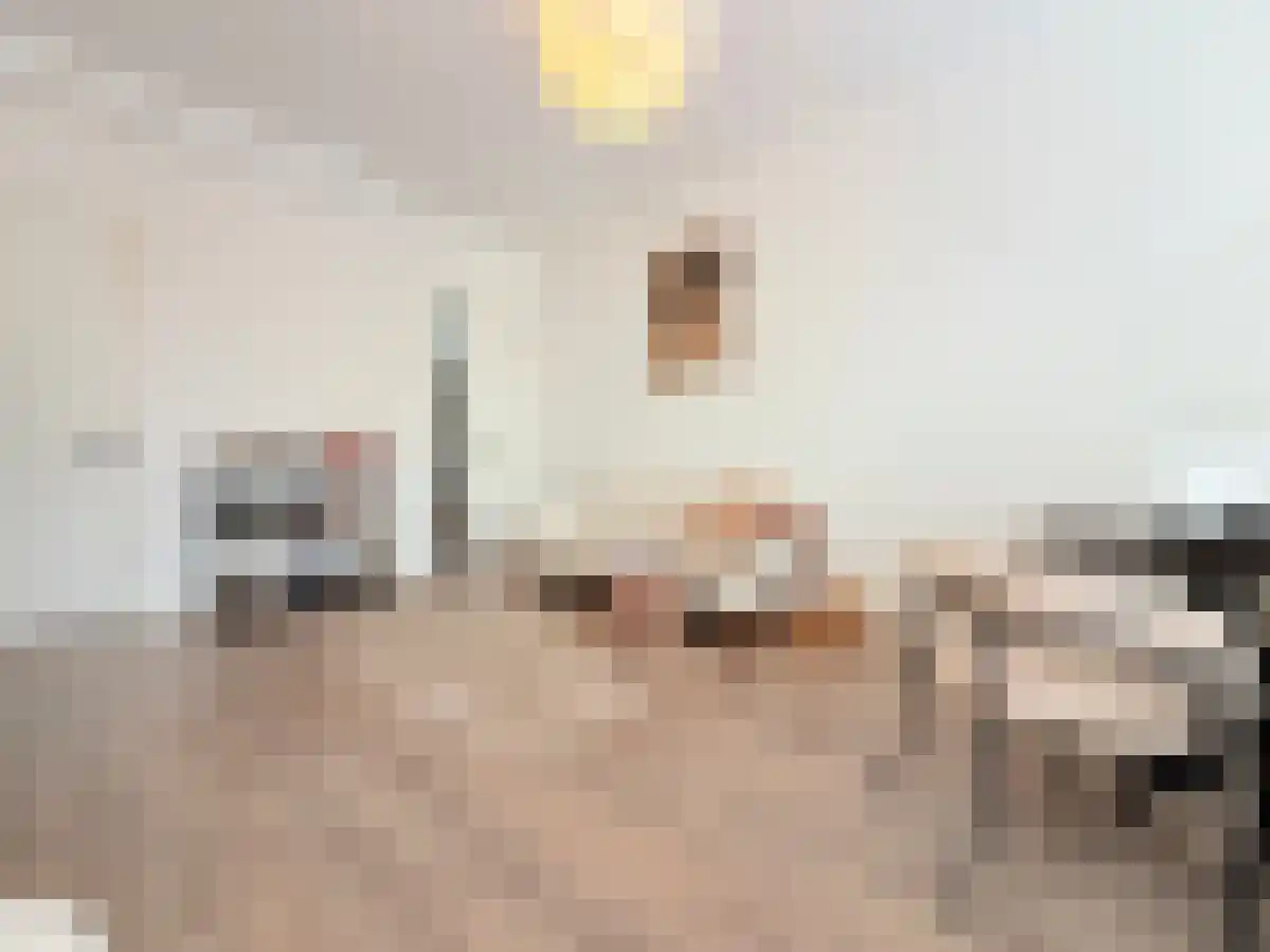 Huurwoningen Den Haag 1 Uden thumbnail 18