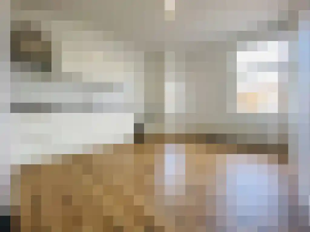 Huurwoningen Den Haag 1 Uden thumbnail 22