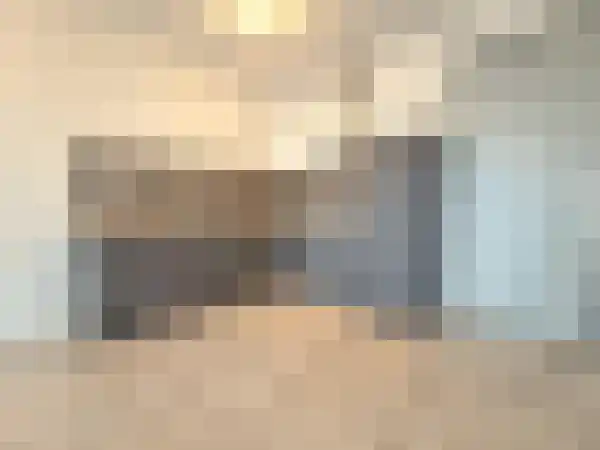 Huurwoningen Den Haag 1 Uden thumbnail 59