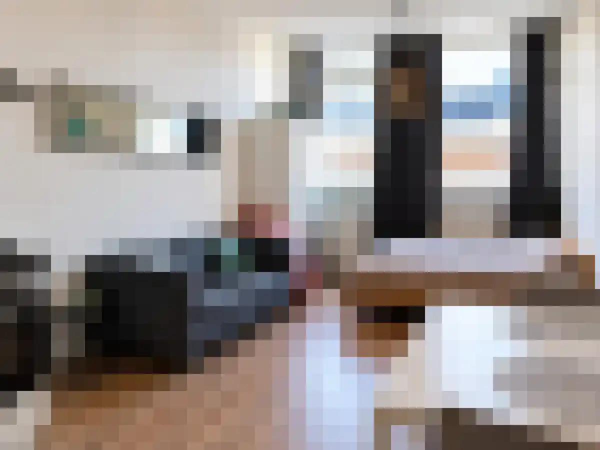 Huurwoningen Den Haag 430 Uden thumbnail 24