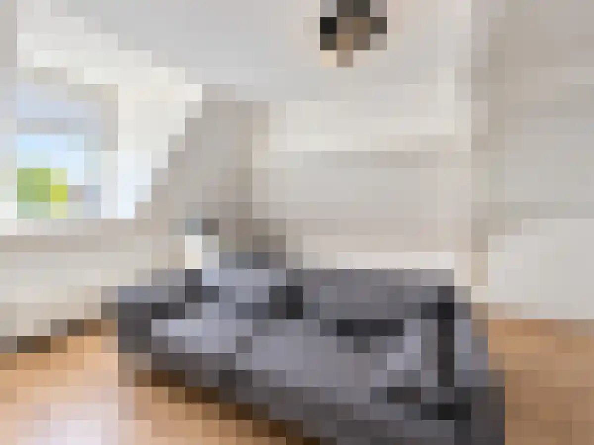 Huurwoningen Den Haag 430 Uden thumbnail 30