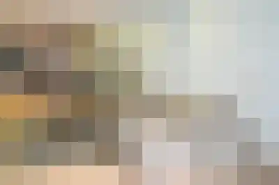Huurwoningen Den Haag 92 Uden thumbnail 34