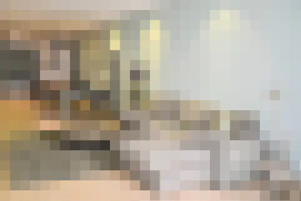 Huurwoningen Den Haag 92 Uden thumbnail 4