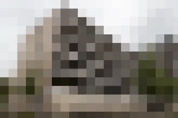Huurwoningen Eindhoven 146 Uden thumbnail 37