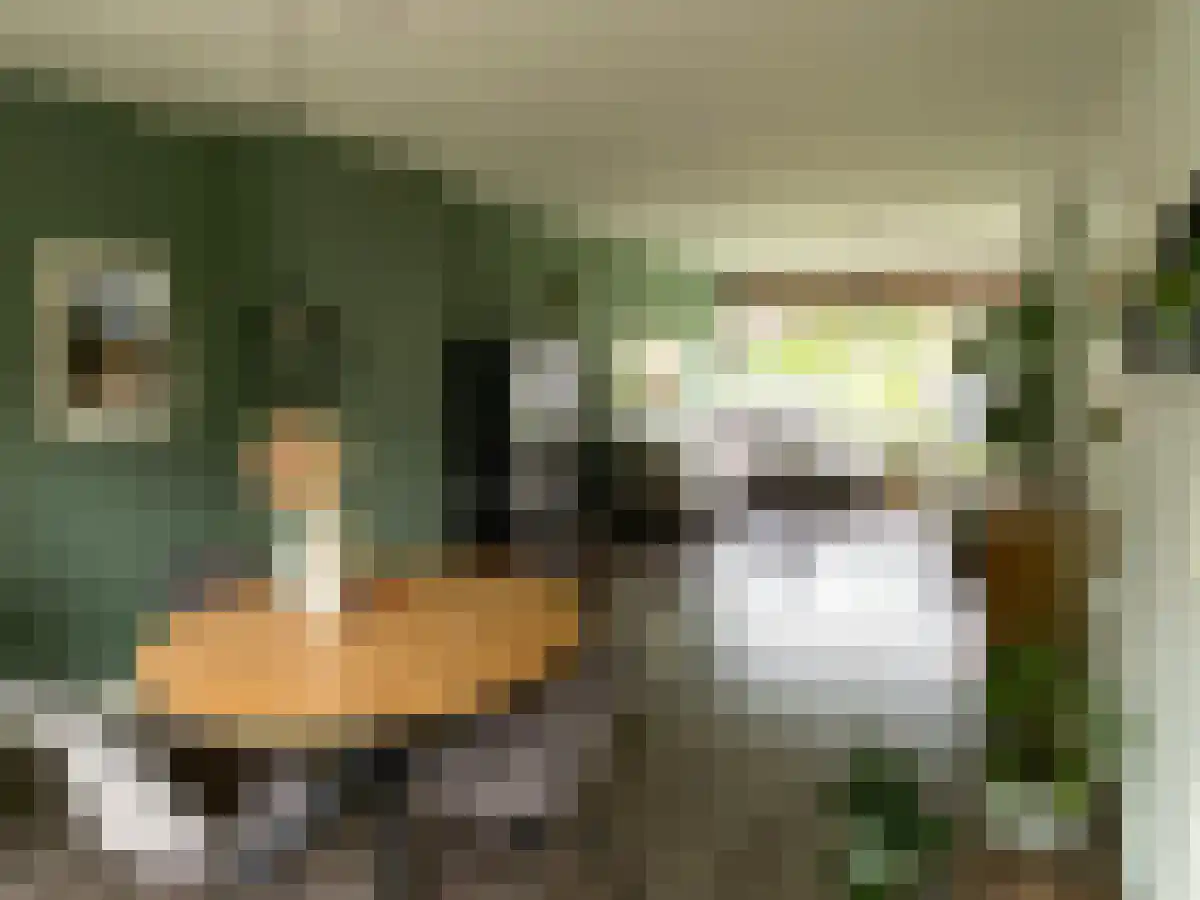 Huurwoningen Eindhoven 4 Eindhoven thumbnail 20