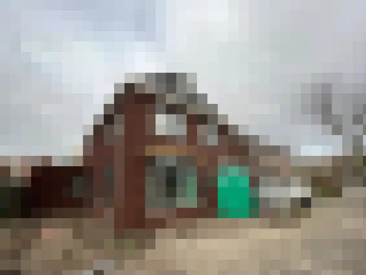 Huurwoningen Eindhoven 8 Uden thumbnail 24