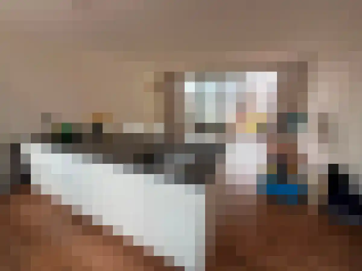 Huurwoningen Haarlem 13 ZW Uden thumbnail 12