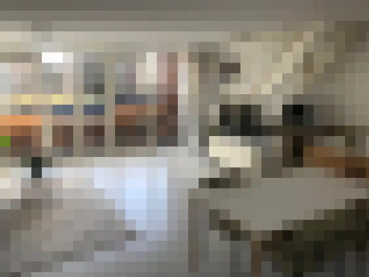 Huurwoningen Haarlem 62 ZW Haarlem thumbnail 16