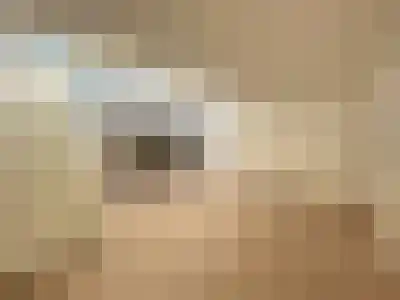 Huurwoningen Leeuwarden 114 Leeuwarden thumbnail 32