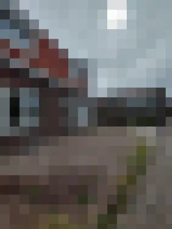 Huurwoningen Leeuwarden 114 Leeuwarden thumbnail 48
