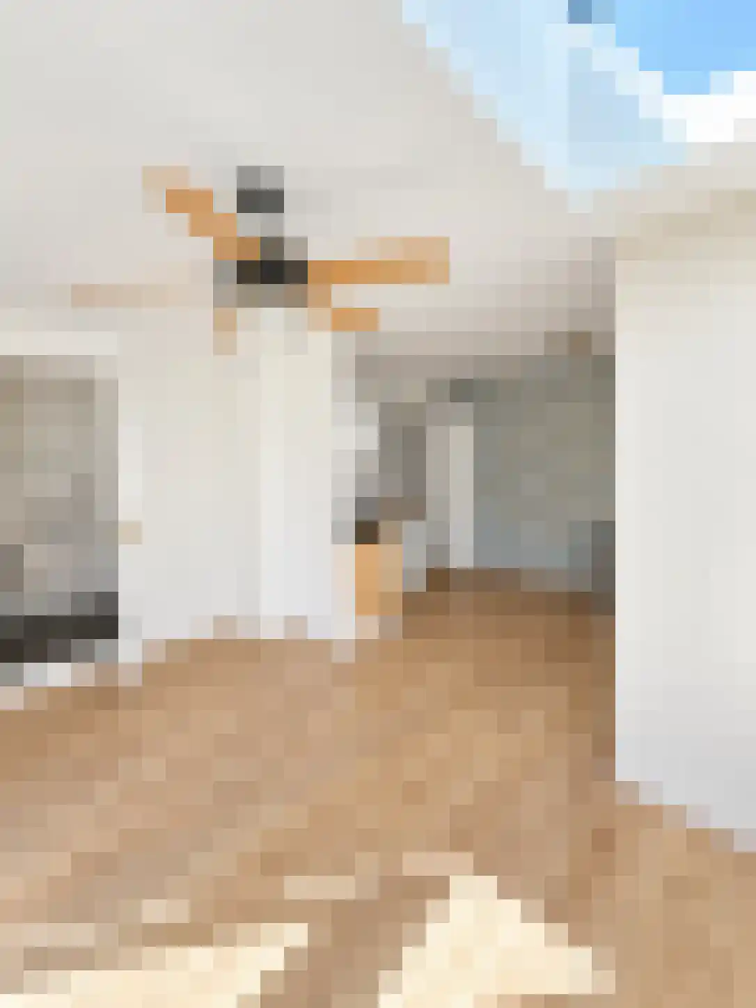 Huurwoningen Leiden 4 H Leiden thumbnail 16