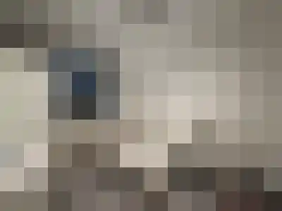 Huurwoningen Maastricht 3 C Uden thumbnail 45