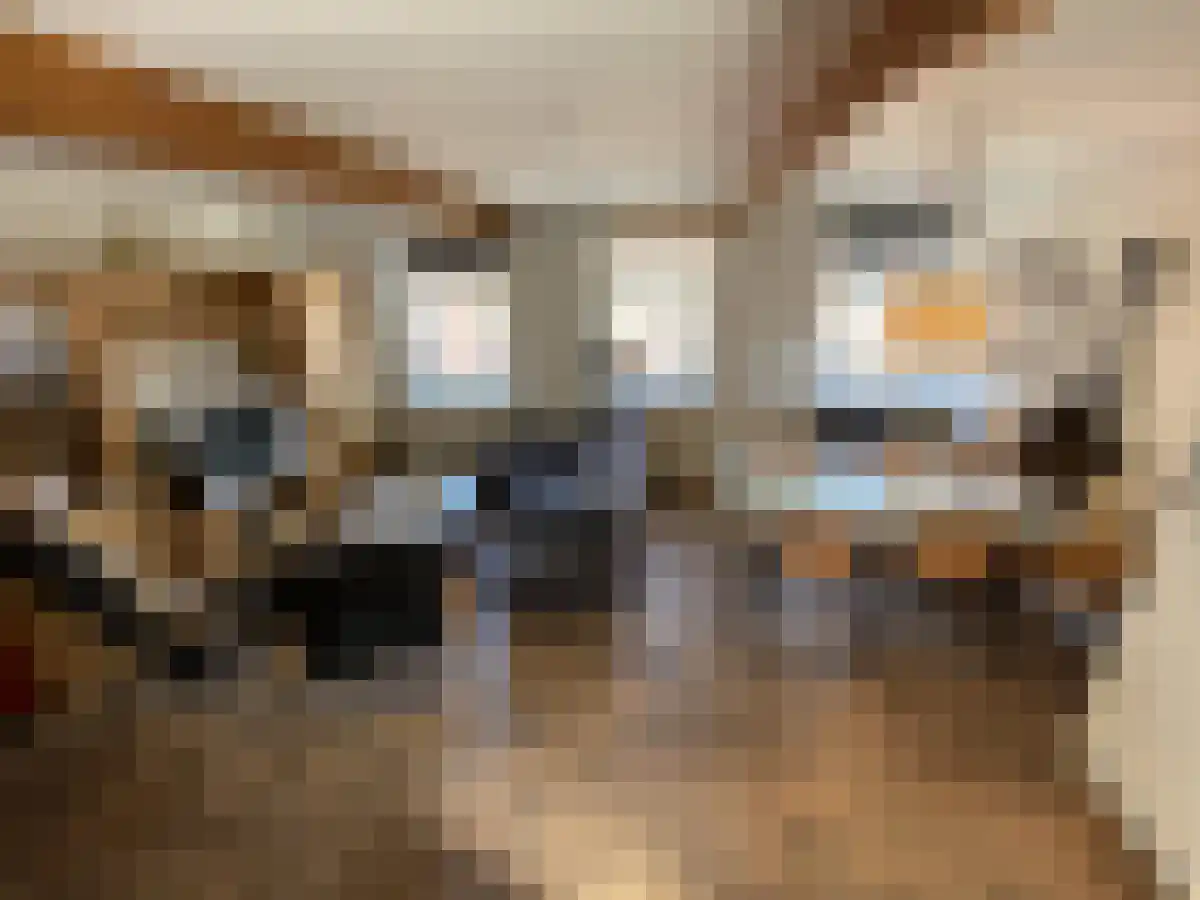 Huurwoningen Maastricht 3 Uden thumbnail 31