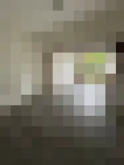 Huurwoningen Oss 14 Oss thumbnail 12