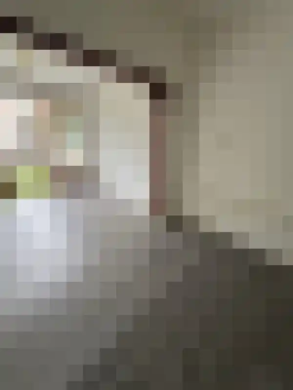 Huurwoningen Oss 14 Oss thumbnail 15