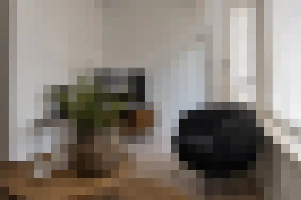 Huurwoningen Papendrecht 1 Uden thumbnail 21