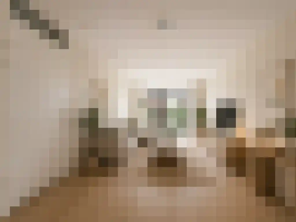 Huurwoningen Rotterdam 02 Rotterdam thumbnail 16