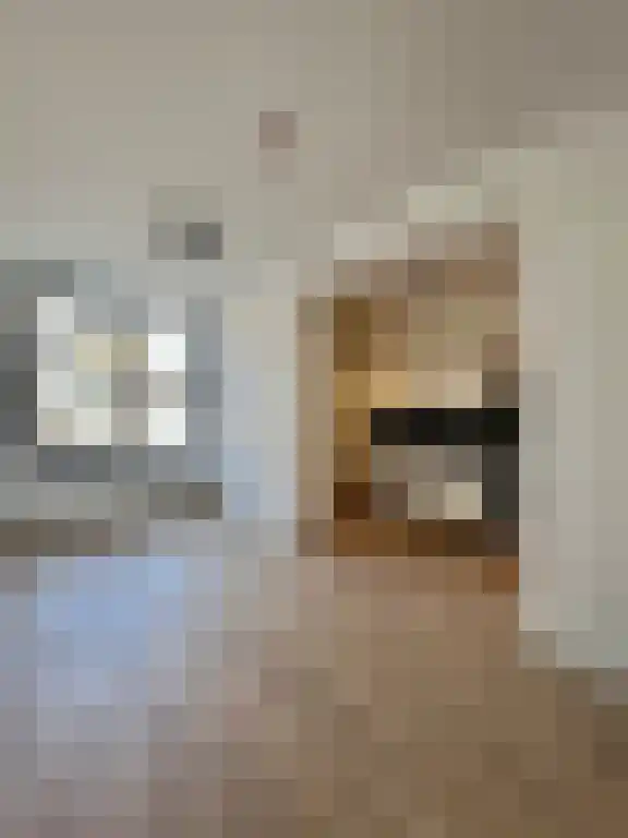 Huurwoningen Rotterdam 02 Rotterdam thumbnail 17