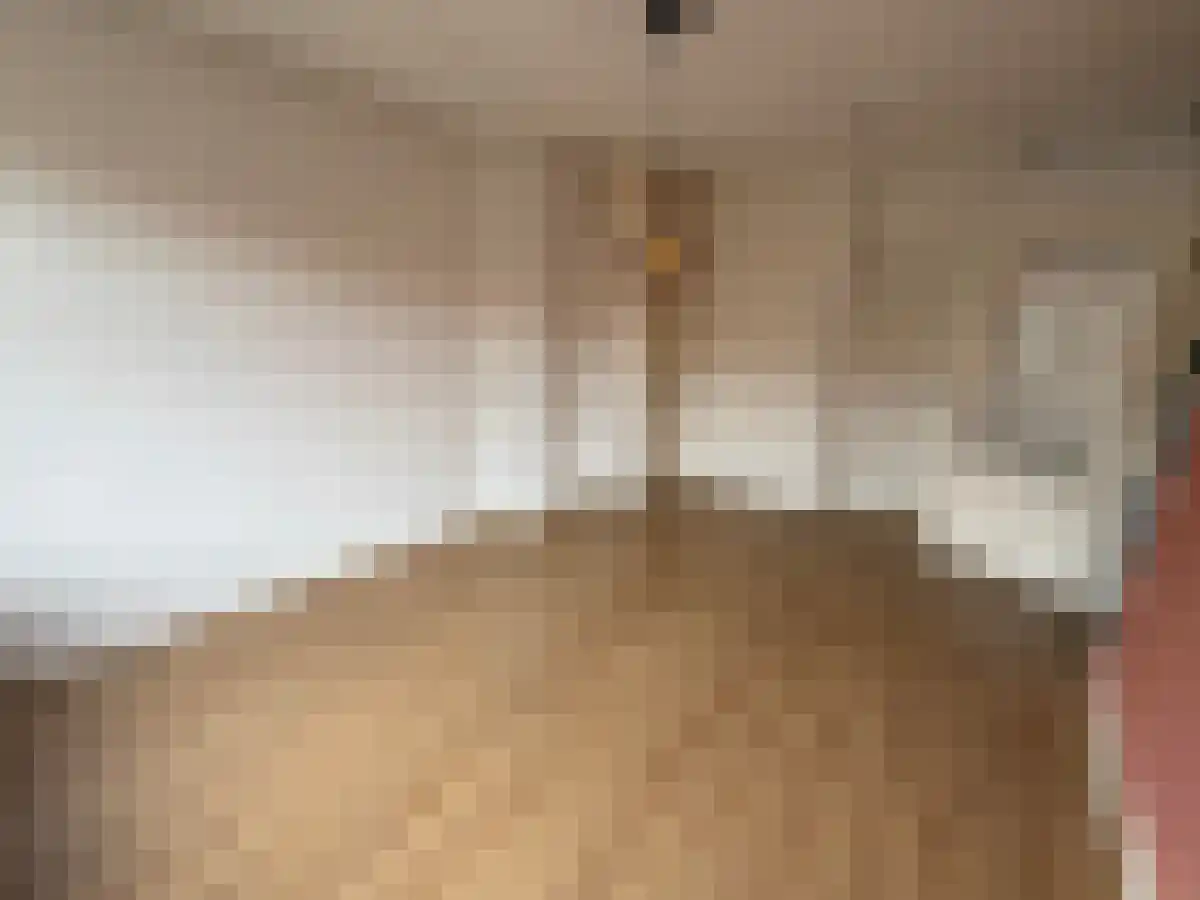 Huurwoningen Rotterdam 02 Uden thumbnail 13