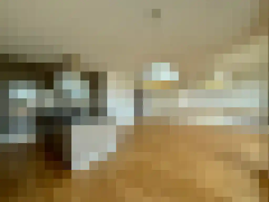 Huurwoningen Rotterdam 52 C Rotterdam thumbnail 28